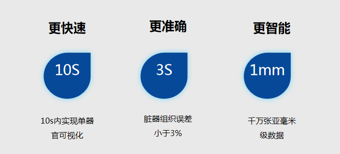 肝胆